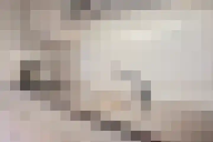 Molengraaf 17 Schaijk thumbnail 15