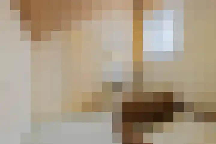 Molengraaf 17 Schaijk thumbnail 23