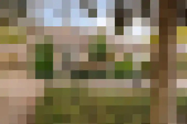 Molengraaf 17 Schaijk thumbnail 33