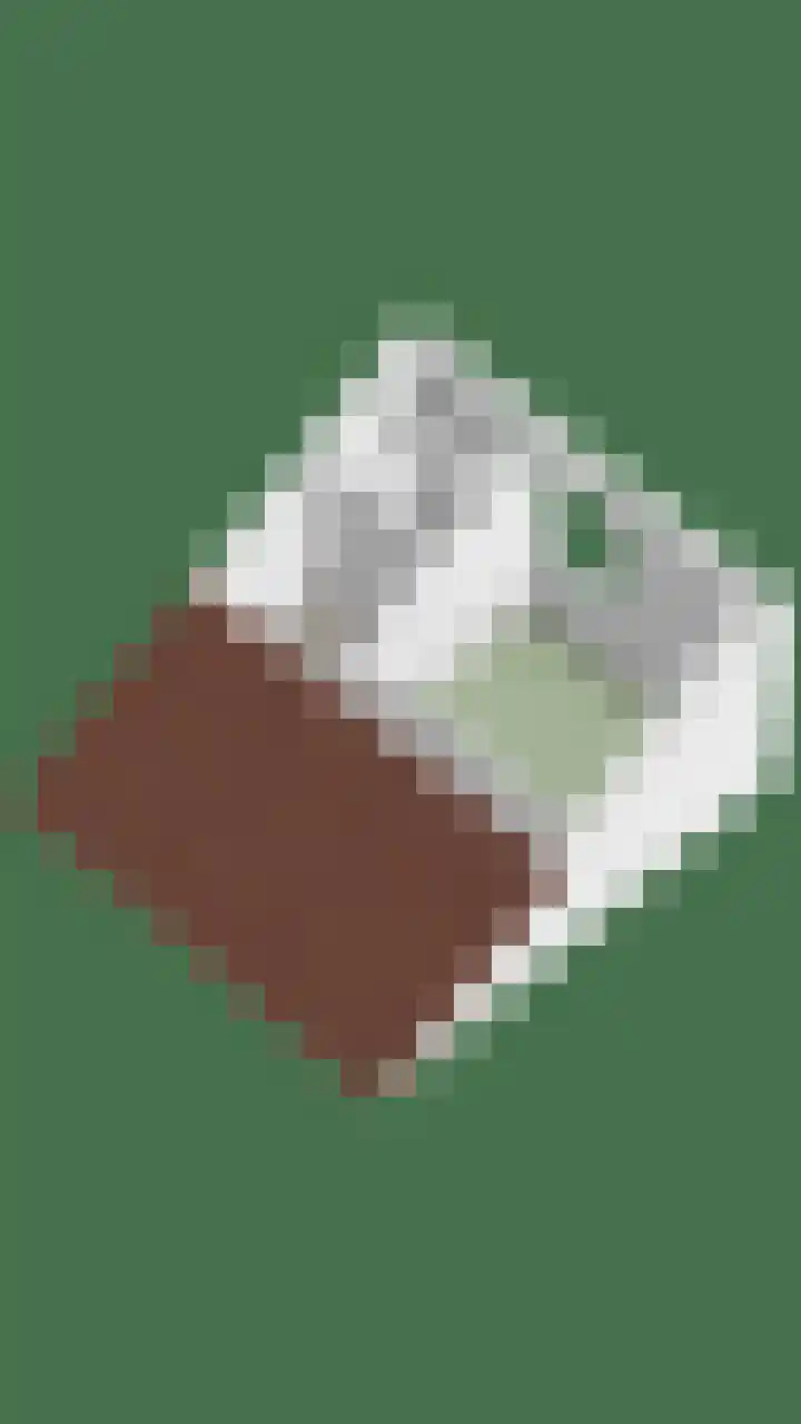 Molengraaf 17 Schaijk thumbnail 39