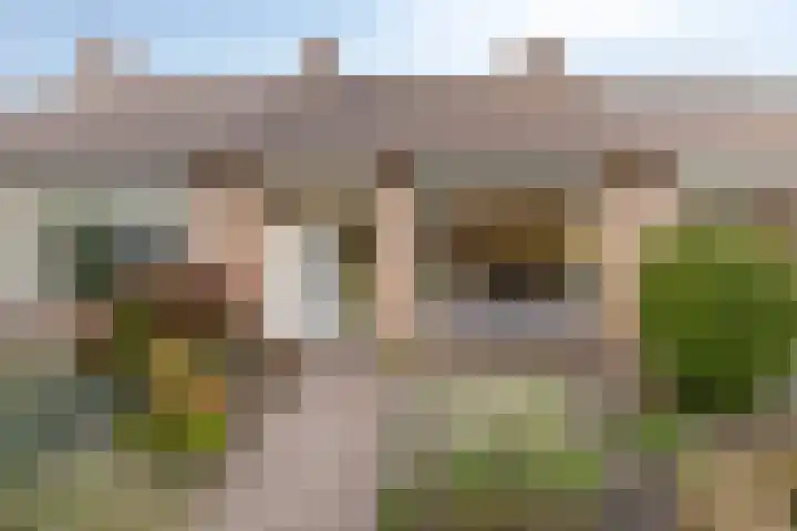 Molengraaf 17 Schaijk thumbnail 6
