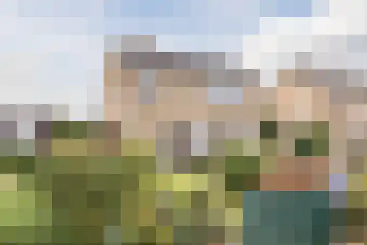 Molengraaf 26 Schaijk