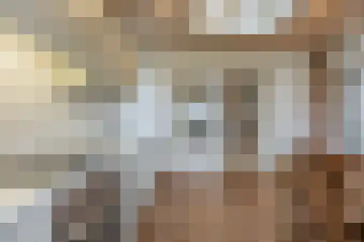Molengraaf 26 Schaijk thumbnail 19