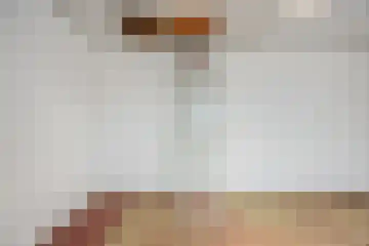 Molengraaf 26 Schaijk thumbnail 27
