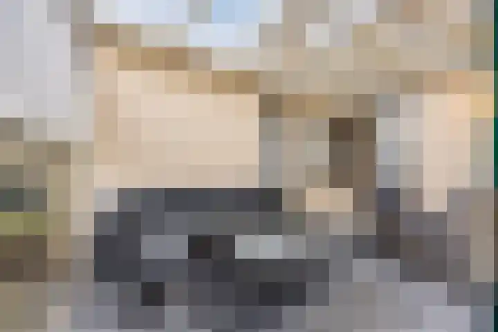Molengraaf 26 Schaijk thumbnail 32
