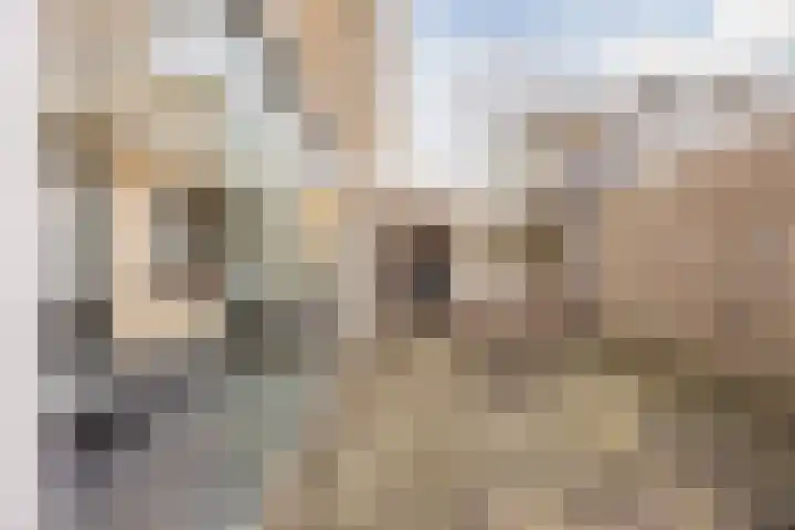 Molengraaf 26 Schaijk thumbnail 33
