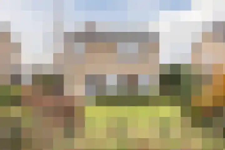 Molengraaf 26 Schaijk thumbnail 4