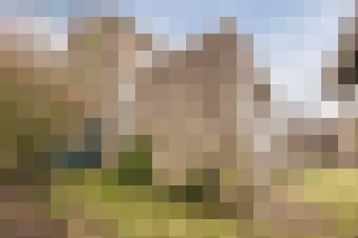 Molengraaf 26 Schaijk thumbnail 42