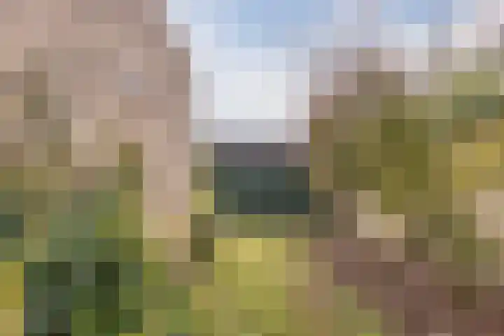 Molengraaf 26 Schaijk thumbnail 43