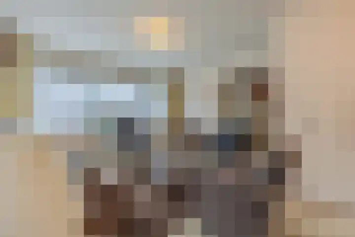 Molengraaf 26 Schaijk thumbnail 7