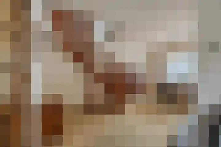 Molengraaf 26 Schaijk thumbnail 9