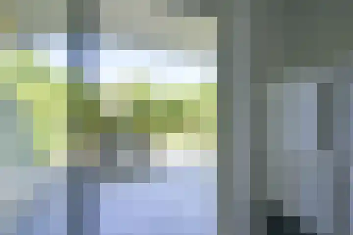 Molengraaffplantsoen 2 Utrecht thumbnail 10