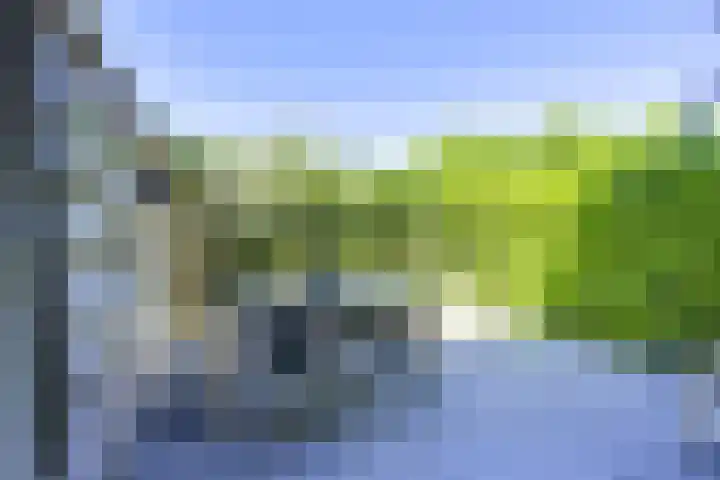Molengraaffplantsoen 2 Utrecht thumbnail 11