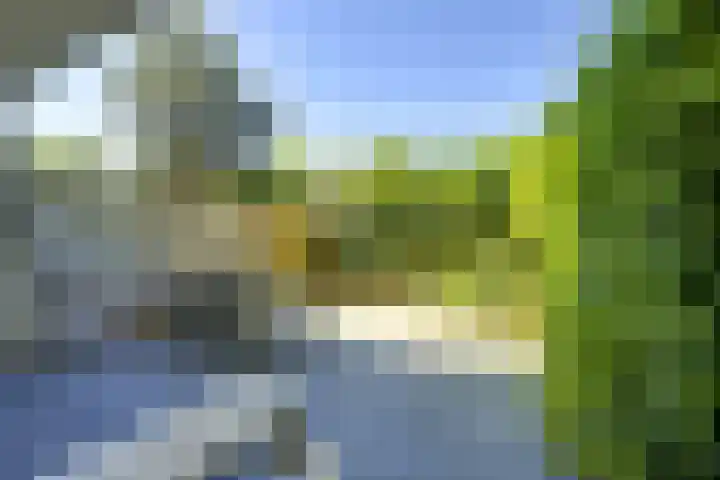 Molengraaffplantsoen 2 Utrecht thumbnail 12