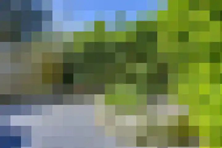 Molengraaffplantsoen 2 Utrecht thumbnail 13
