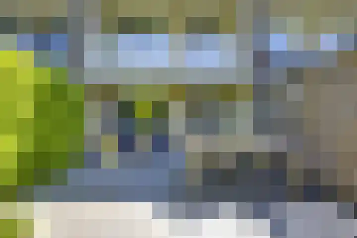 Molengraaffplantsoen 2 Utrecht thumbnail 14