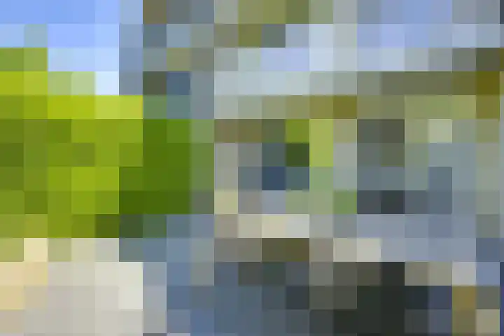 Molengraaffplantsoen 2 Utrecht thumbnail 15