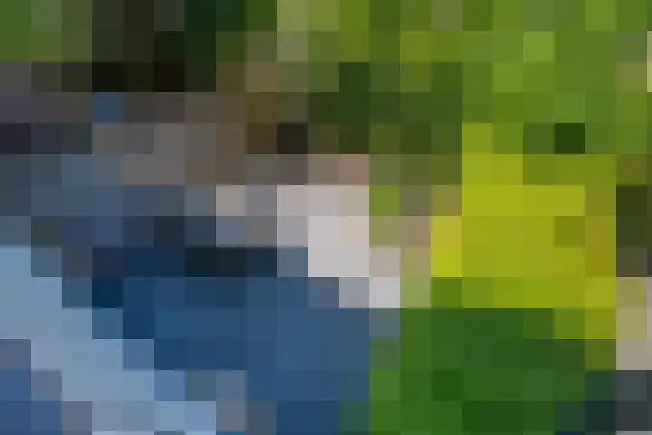 Molengraaffplantsoen 2 Utrecht thumbnail 17