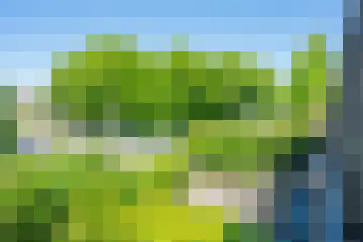 Molengraaffplantsoen 2 Utrecht thumbnail 18