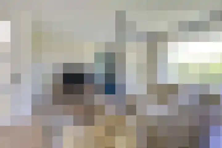 Molengraaffplantsoen 2 Utrecht thumbnail 22