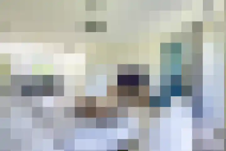 Molengraaffplantsoen 2 Utrecht thumbnail 23