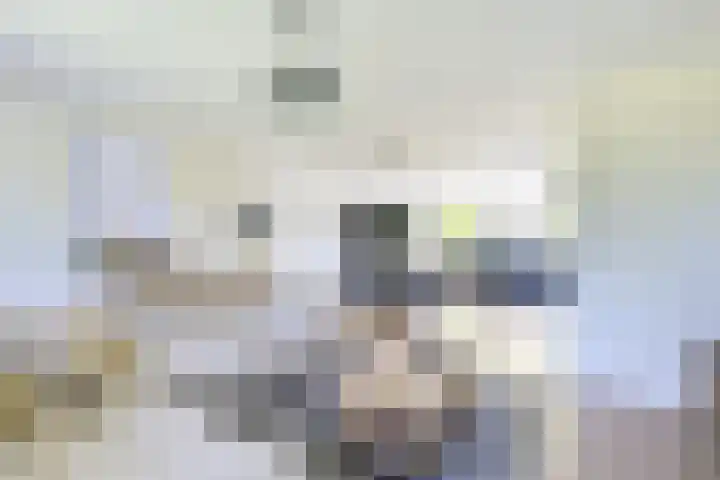 Molengraaffplantsoen 2 Utrecht thumbnail 25