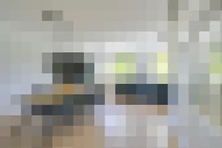 Molengraaffplantsoen 2 Utrecht thumbnail 28
