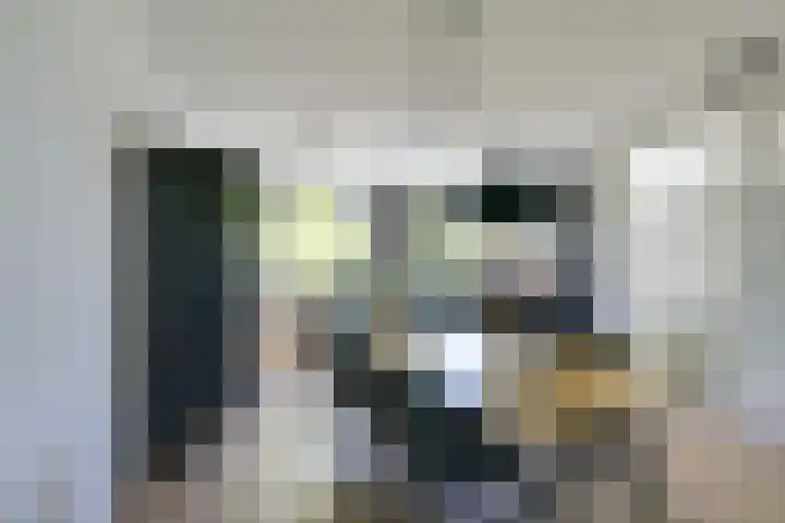 Molengraaffplantsoen 2 Utrecht thumbnail 29