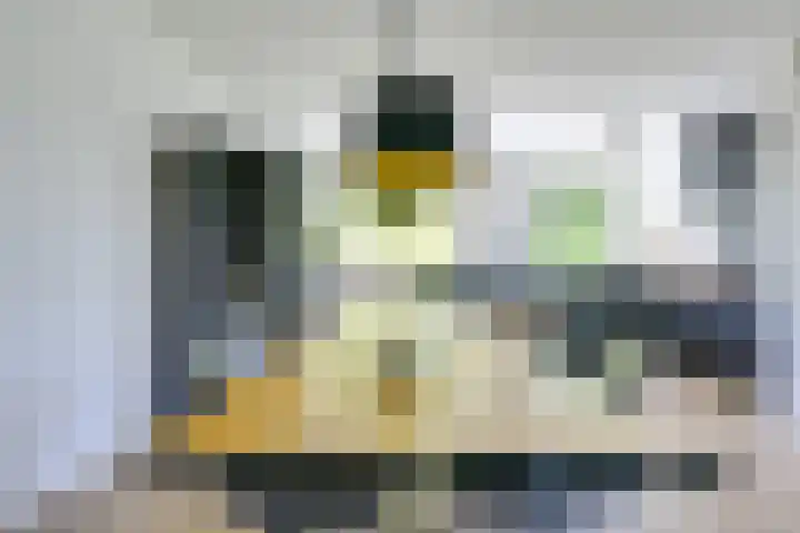 Molengraaffplantsoen 2 Utrecht thumbnail 30