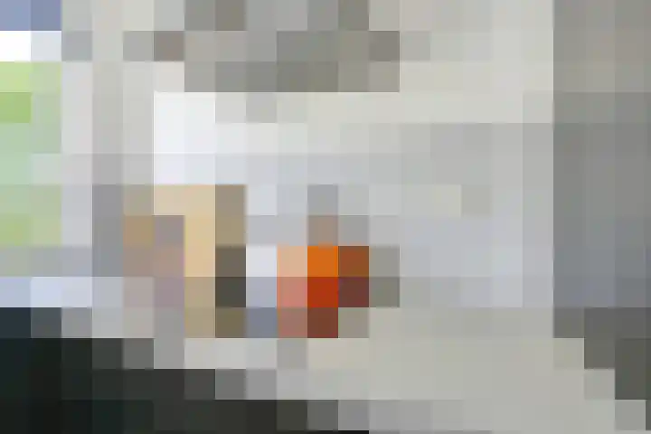 Molengraaffplantsoen 2 Utrecht thumbnail 34