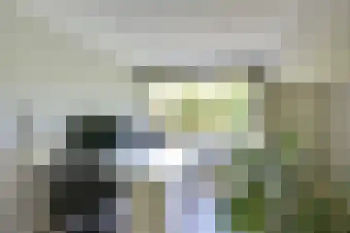 Molengraaffplantsoen 2 Utrecht thumbnail 4