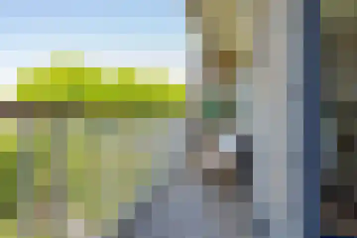 Molengraaffplantsoen 2 Utrecht thumbnail 40