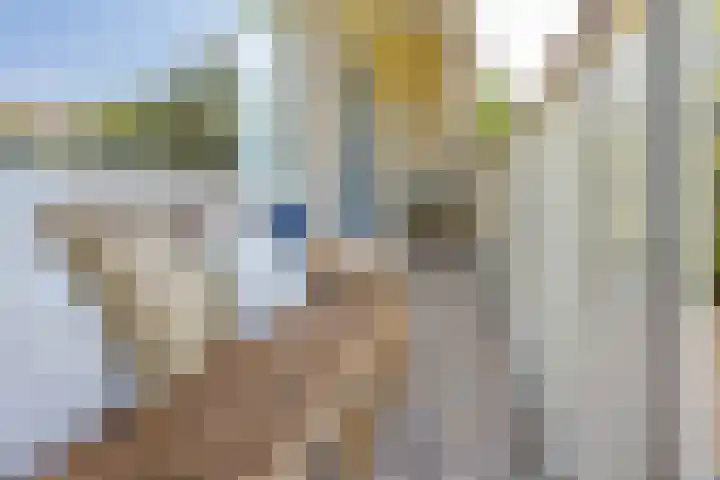 Molengraaffplantsoen 2 Utrecht thumbnail 42