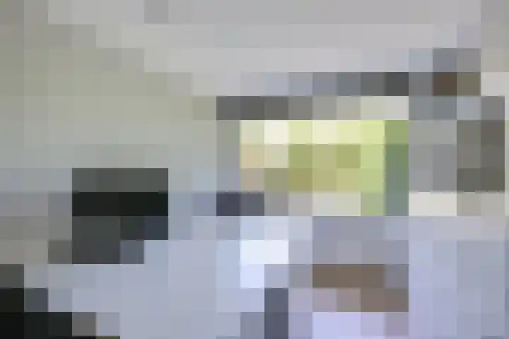 Molengraaffplantsoen 2 Utrecht thumbnail 5