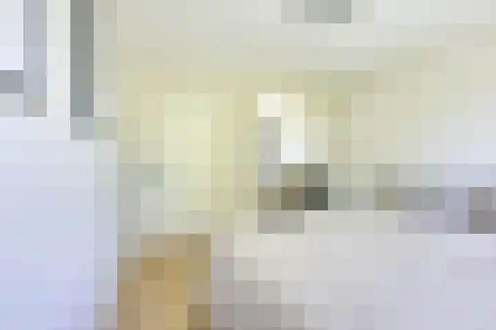 Molengraaffplantsoen 2 Utrecht thumbnail 51