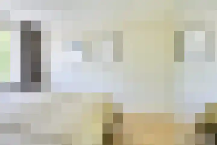 Molengraaffplantsoen 2 Utrecht thumbnail 52
