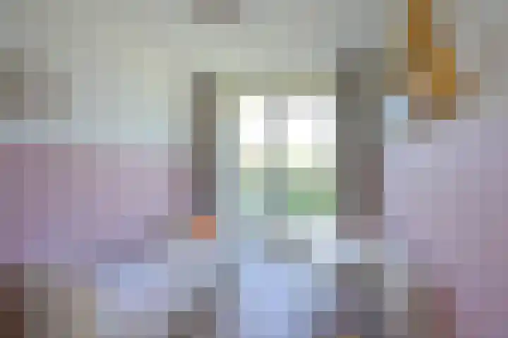 Molengraaffplantsoen 2 Utrecht thumbnail 54