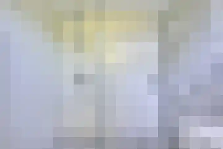 Molengraaffplantsoen 2 Utrecht thumbnail 59