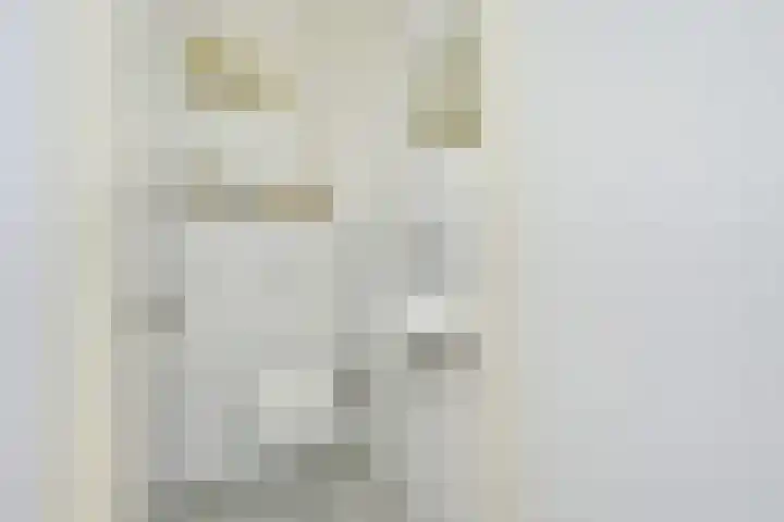 Molengraaffplantsoen 2 Utrecht thumbnail 60