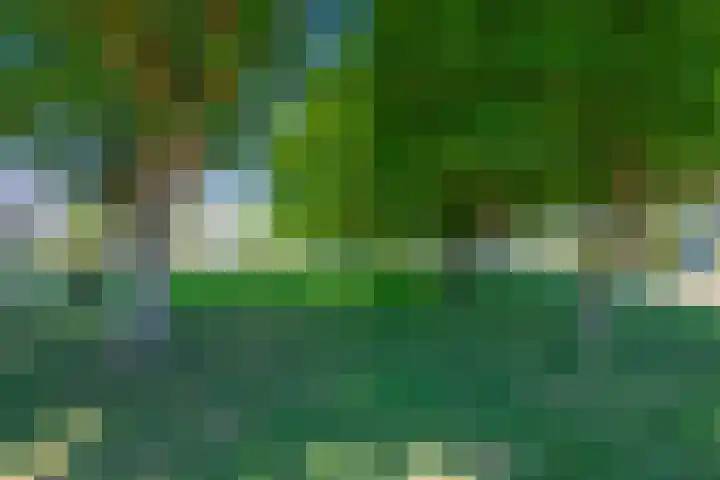 Molengraaffplantsoen 2 Utrecht thumbnail 66