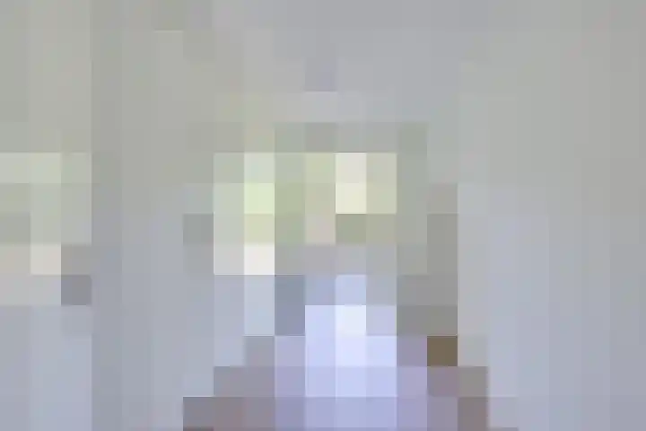 Molengraaffplantsoen 2 Utrecht thumbnail 7