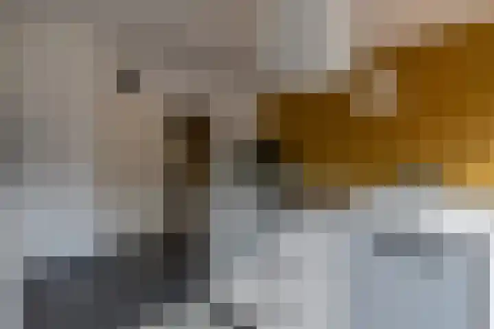 Molengraaffplantsoen 28 Utrecht thumbnail 10
