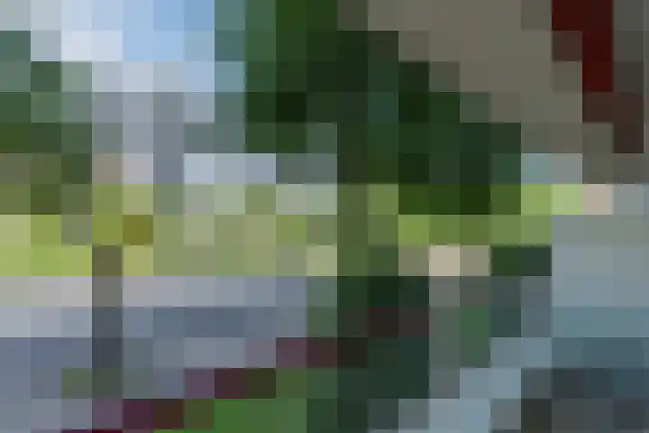 Molengraaffplantsoen 28 Utrecht thumbnail 19