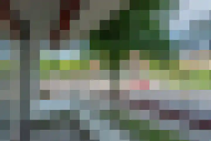 Molengraaffplantsoen 28 Utrecht thumbnail 20