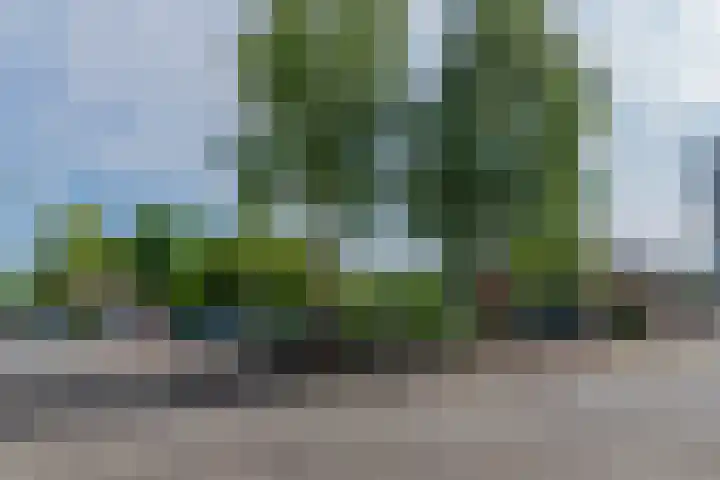 Molengraaffplantsoen 28 Utrecht thumbnail 21