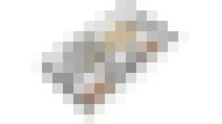 Molengraaffplantsoen 28 Utrecht thumbnail 24