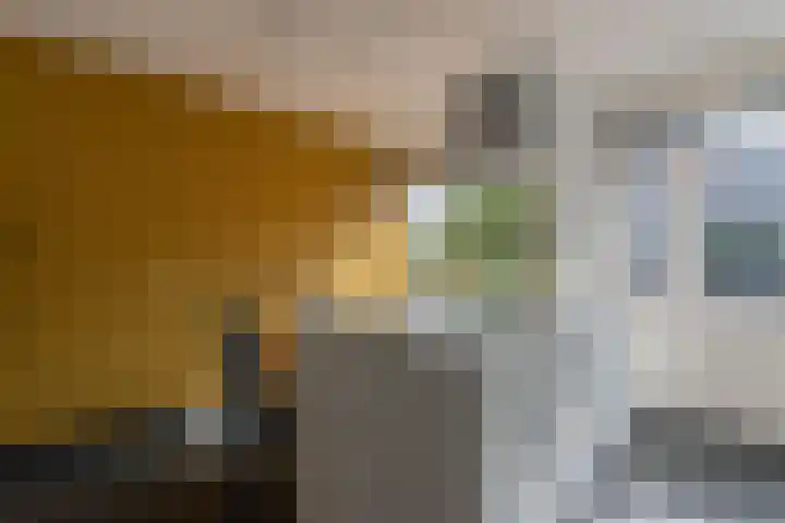 Molengraaffplantsoen 28 Utrecht thumbnail 7