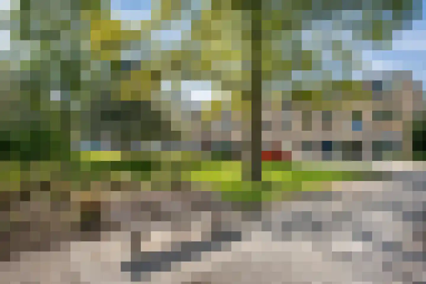 Molengraaffplantsoen 6 Utrecht