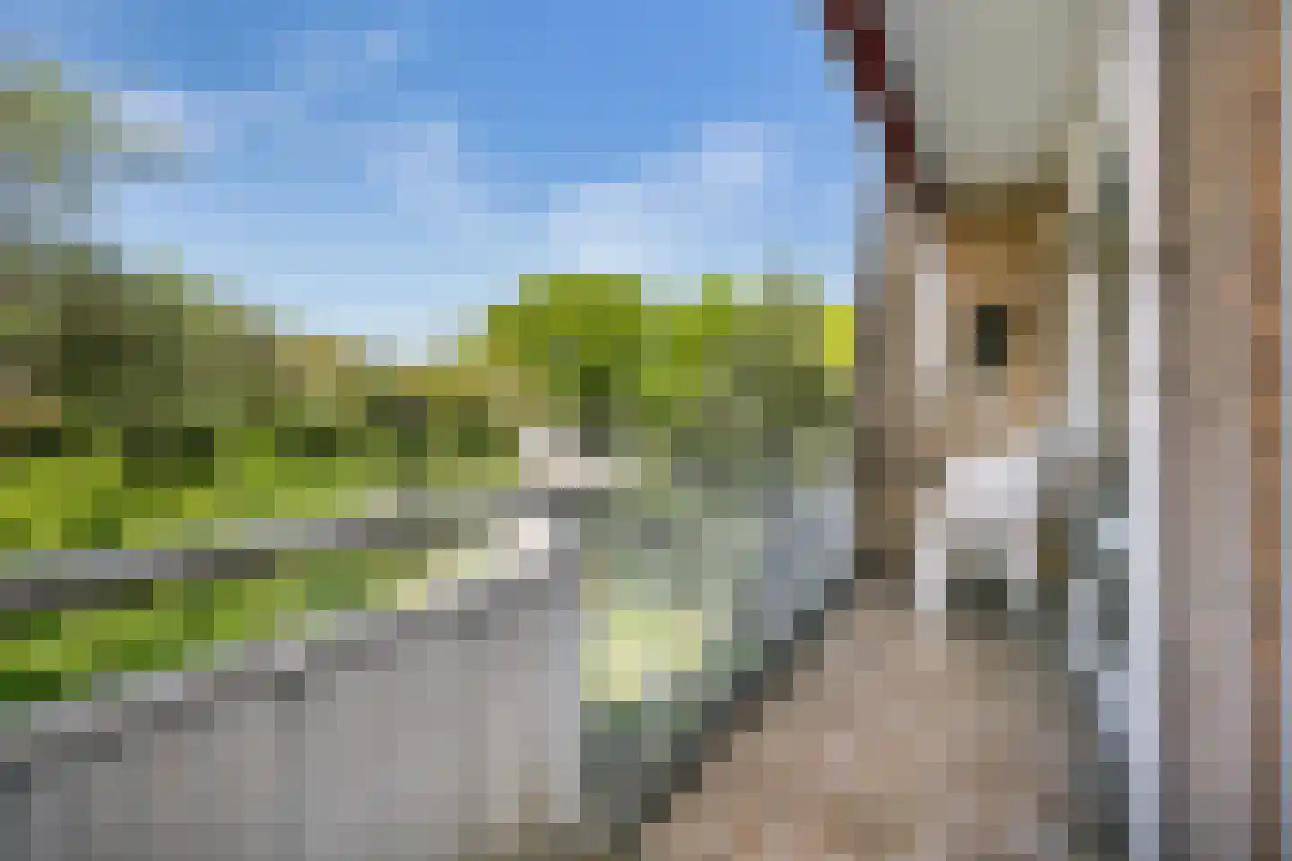 Molengraaffplantsoen 6 Utrecht thumbnail 12