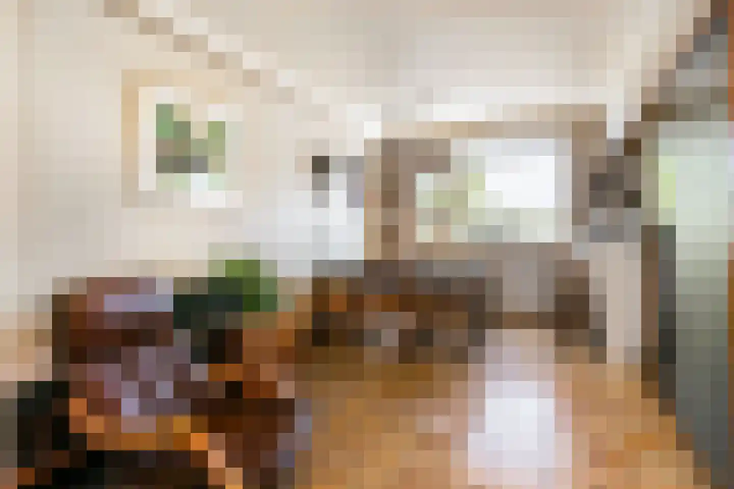 Molengraaffplantsoen 6 Utrecht thumbnail 15